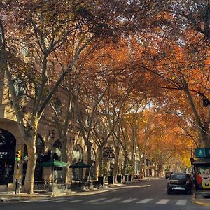 Apartamento Estándar de 2 Dormitorios